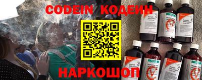 a pvp Новозыбков