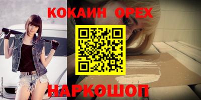 a pvp Новозыбков