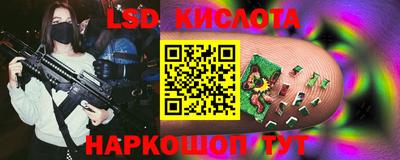 a pvp Новозыбков