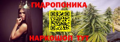 скорость Новокубанск