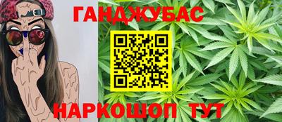 a pvp Новозыбков