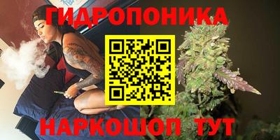 a pvp Новозыбков