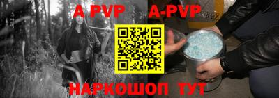 a pvp Новозыбков
