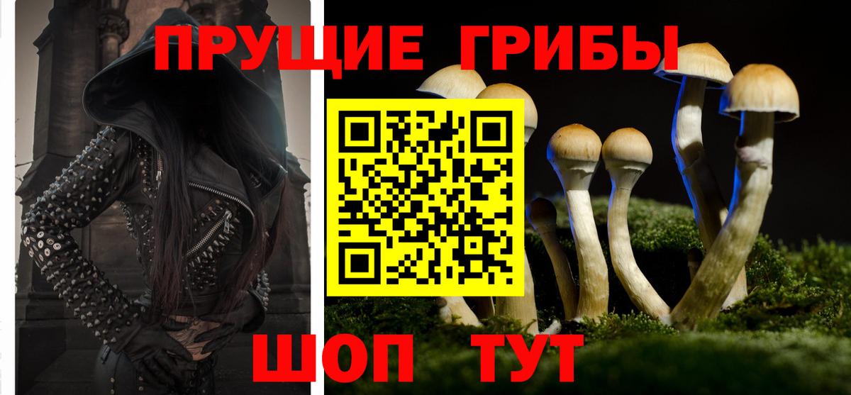 Галлюциногенные грибы GOLDEN TEACHER Трёхгорный
